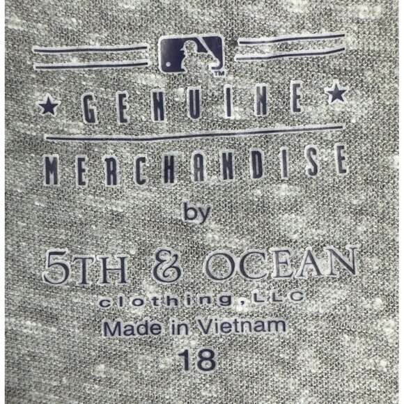 Boston Red Sox Womens 18 Heather Gray V-Neck Bling Graphic Tee By 5th & Ocean - Picture 4 of 10